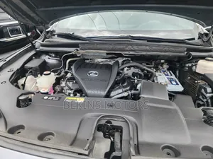 Lexus RX 2024 Gray