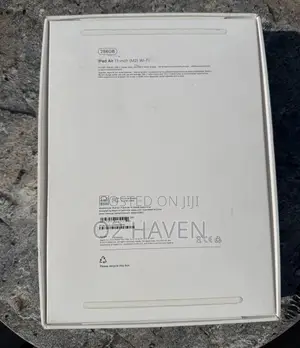 Apple iPad Air 256 GB Gray