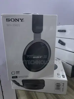 Sony Headset