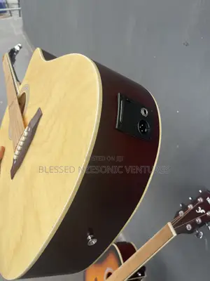 Semi Acoustic Guitar