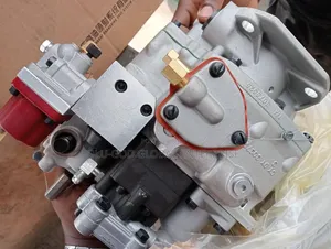 Injector Pump Cummins Nt855 Cummins