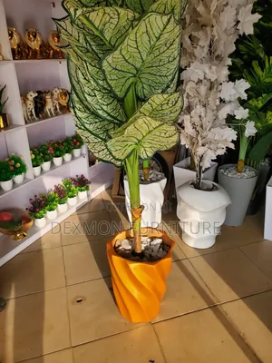 Imported Flower