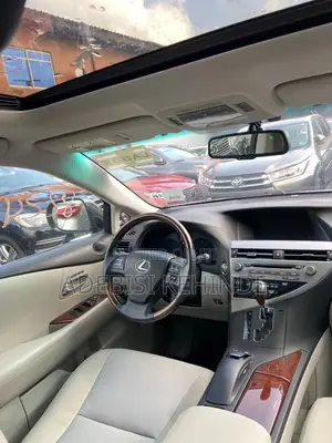 Lexus RX 2010 Gray