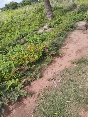 4000acres of Fertile Farmland for Sale at Komu, Itesiwaju Lg Oyo State