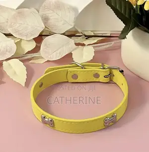 Pet Collars