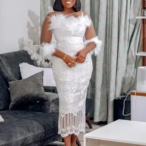 Net Sleeve Lace Dress