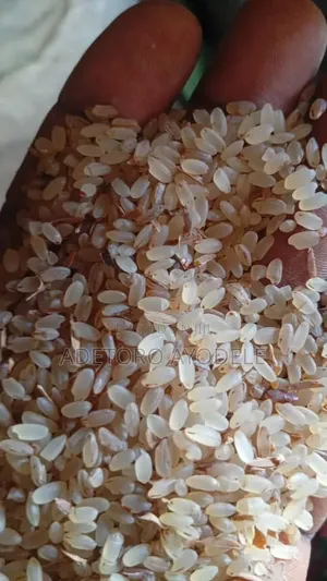 Òfàda Rice