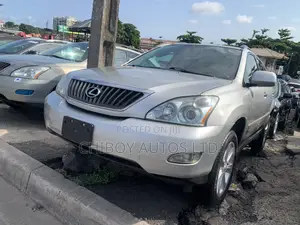 Lexus RX 2009 Silver
