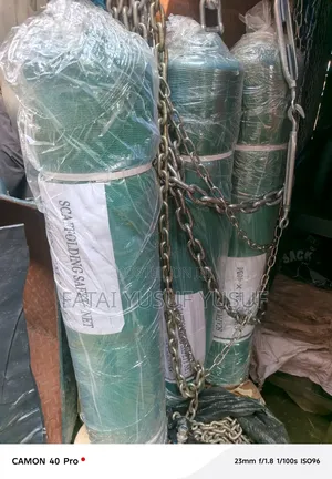 Scaffolding Net