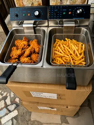 10l X 2 Electric Deep Fryer for Chicken and Chips / Deep Fryer Machine
