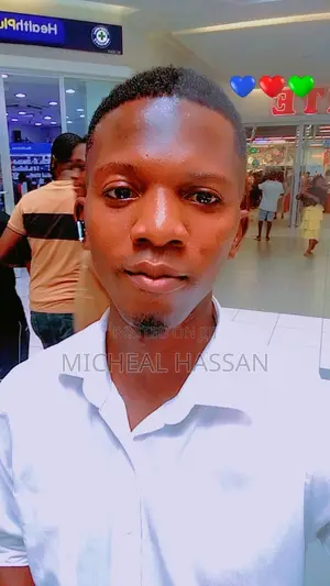 Accountant