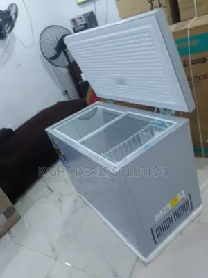 Nexus Energy Efficient Freezer