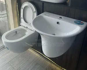 Wall-Hung Sanitary Set With a Curved Avida Basin a Matching Toilet
