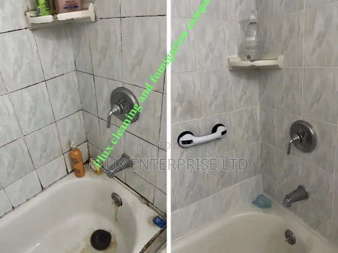 Cleaning and Fumigation Service