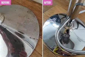Cleaning and Fumigation Service
