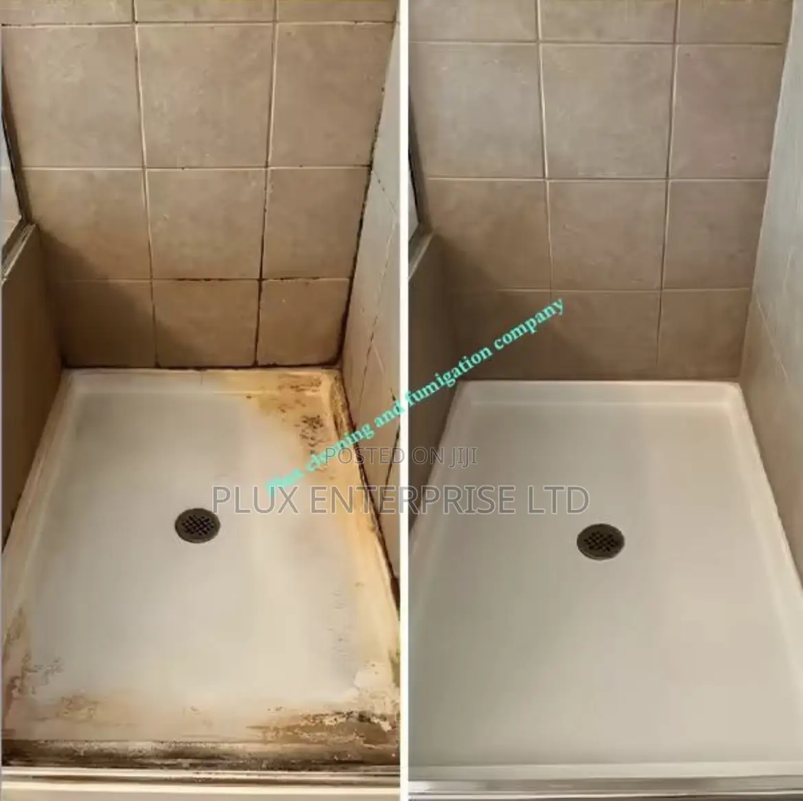 Cleaning and Fumigation Service