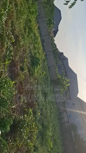 Two Plots of Land