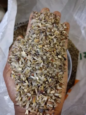 Black Rice for Sale