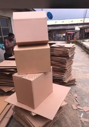Produce Cartons In Bulk