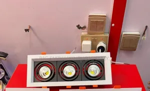 Triple Recessed Downlight or a 3-Head Adjustable Spotlight.