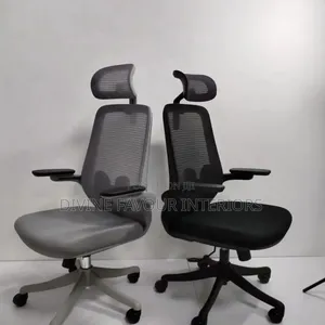 Home Office Ergonomic Chair