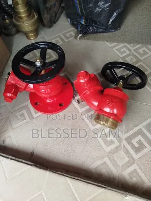 Fire Landing Valves