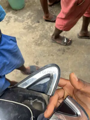 Side Mirror Pad Cover for Rx350 2018 Model