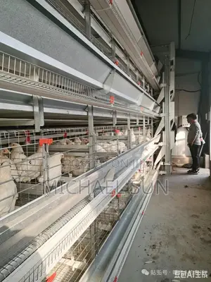China Factory Battery Cage Poultry Farming Cages