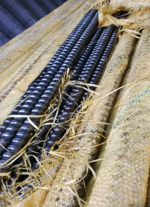 Jaguar Rod