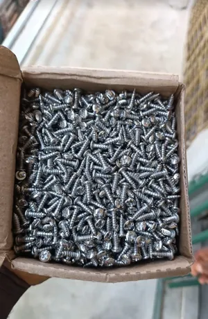 Stainless Screws
