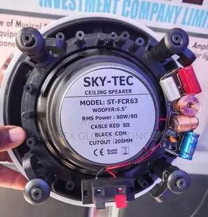 Sky-Tec St-Fcr63 Ceiling Speaker