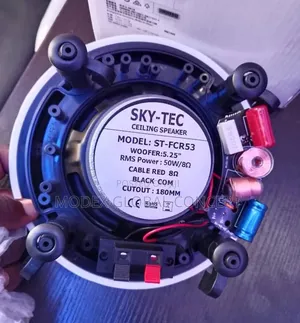 Sky-Tec St-Fcr53 Ceiling Speaker
