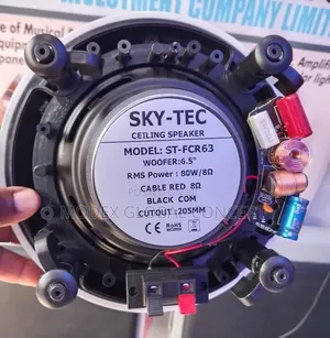 80w Sky-Tec Ceiling Speaker