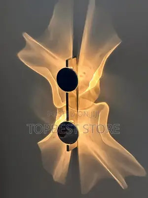 Double Wall Sconce, Stainless Steel Sconce, Rotating Lamp,