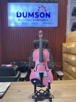 4/4 Acoustic Violin Set