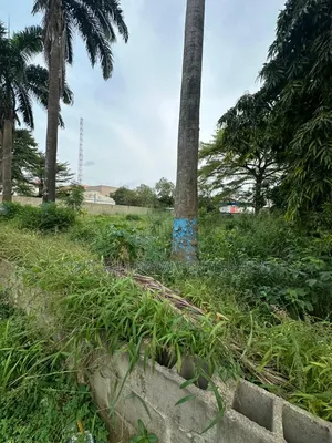 Commercial Land 2009 Square Metre Lateef Jakande Road Agidingbi