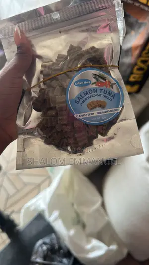 Delicious Dry Treats for Cat