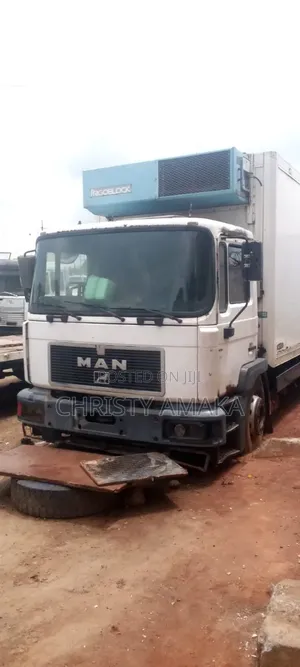 Foreign Used Man Truck