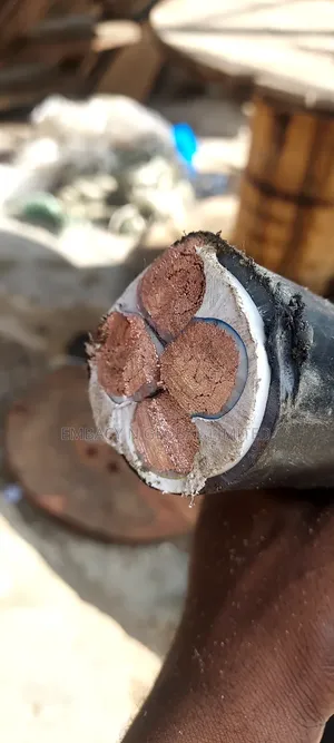 120mm 4core Flexible Cable Nigeria