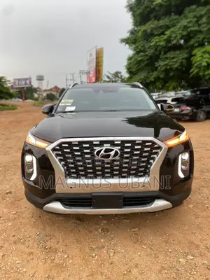 Hyundai Palisade 2020 Black