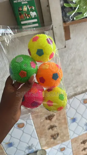Fetch Ball Toy for Dogs