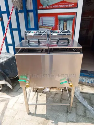 40litters Standing Electric Frayer