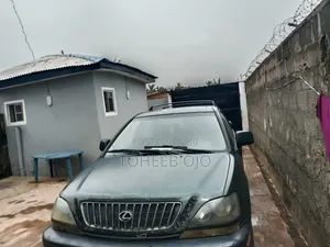 Lexus RX 2002 Gray