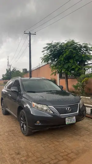Lexus RX 2011 Gray