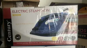 Electric Steam Iron