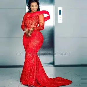 Sheer Neck Beads Appliques Long Sleeves Dress