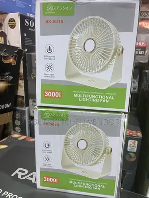 Multifunctional Lighting Fan