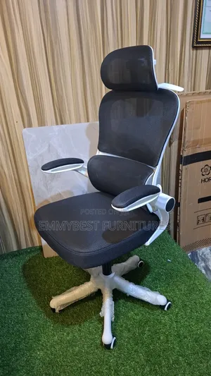Multi Purpose Quality Ergonomic Chair.