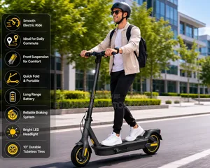 Electric Adult Scooter