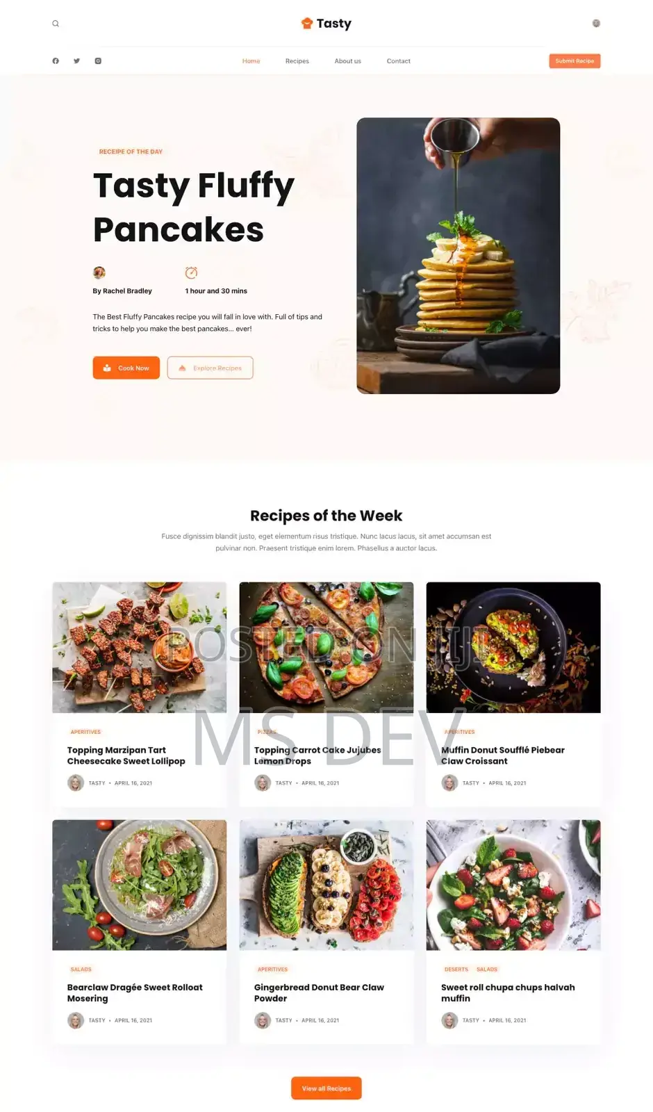 Website Developer
